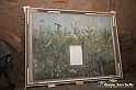 VBS_5949 - Svelamento di due capolavori della mostra Invito a Pompei